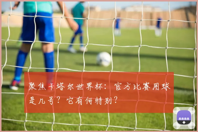 聚焦卡塔尔世界杯:官方比赛用球是几号?它有何特别?