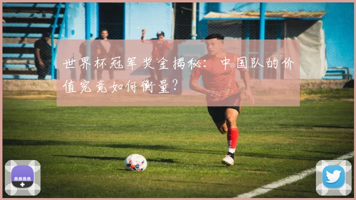 世界杯冠军奖金揭秘:中国队的价值究竟如何衡量?