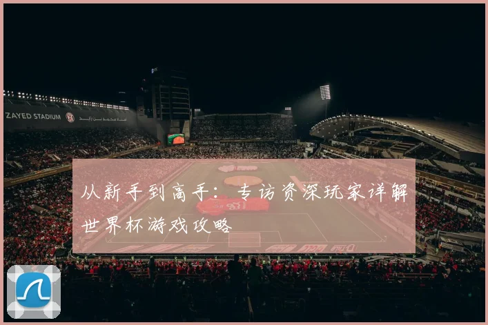 从新手到高手：专访资深玩家详解世界杯游戏攻略