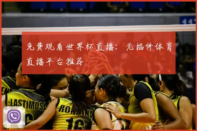免费观看世界杯直播:无插件体育直播平台推荐