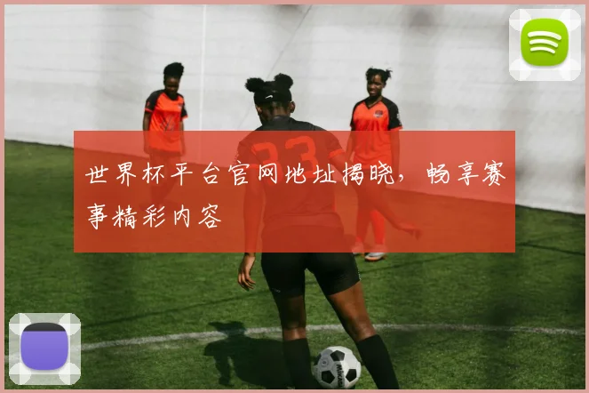 世界杯平台官网地址揭晓,畅享赛事精彩内容