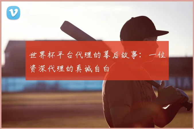 世界杯平台代理的幕后故事:一位资深代理的真诚自白