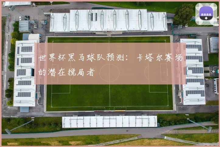 世界杯黑马球队预测:卡塔尔赛场的潜在搅局者