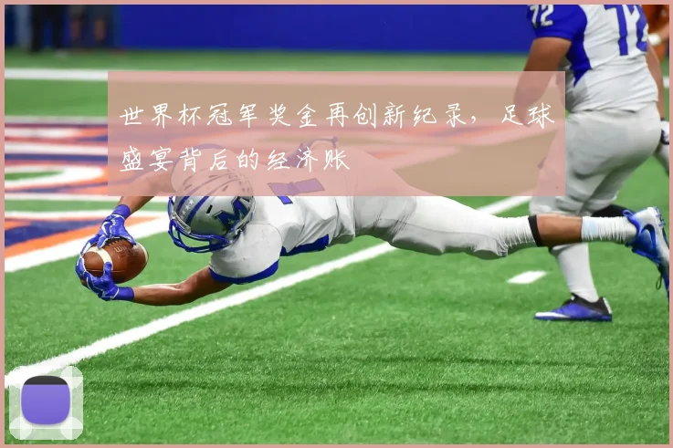 世界杯冠军奖金再创新纪录,足球盛宴背后的经济账