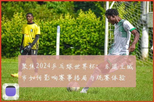 聚焦2024乒乓球世界杯:东道主城市如何影响赛事格局与观赛体验