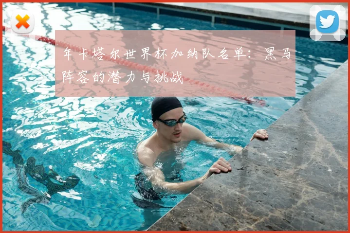 年卡塔尔世界杯加纳队名单：黑马阵容的潜力与挑战