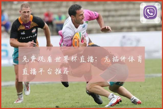 免费观看世界杯直播:无插件体育直播平台推荐