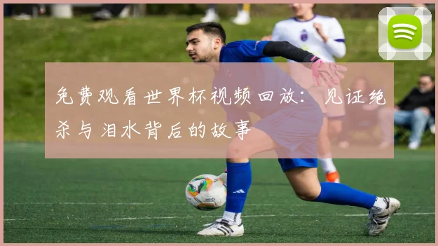 免费观看世界杯视频回放:见证绝杀与泪水背后的故事
