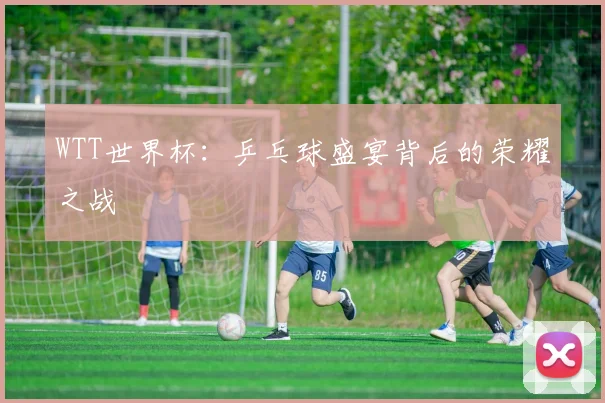 WTT世界杯：乒乓球盛宴背后的荣耀之战