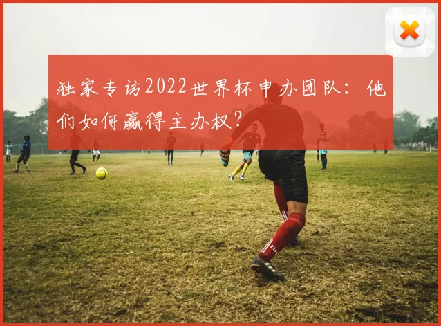 独家专访2022世界杯申办团队：他们如何赢得主办权？