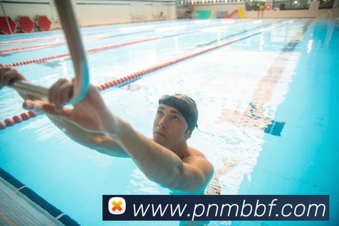 熊猫体育中国官方网站平台生态图